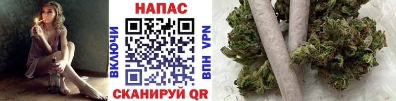 Шишки марихуана планчик  Почеп 